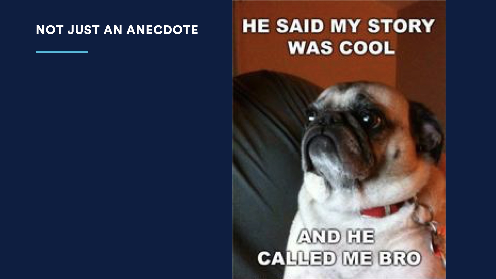 Slide image: Mem of suprised pug saying He said my story was cool. and he called me bro